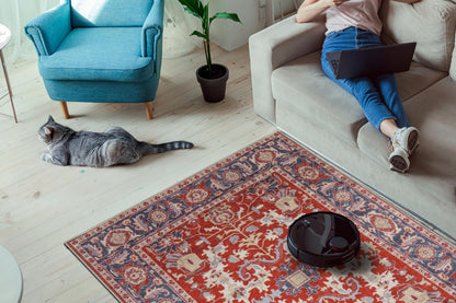 Persian Serapi runner styled in an entry hallway