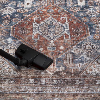 Top-down view of the coral and navy antique Bakshaish Persian rug